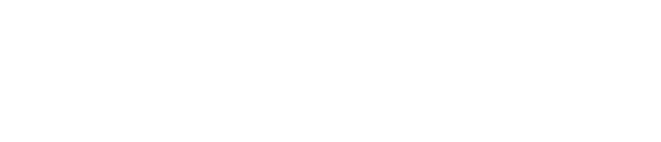 perek dynamometer controllers